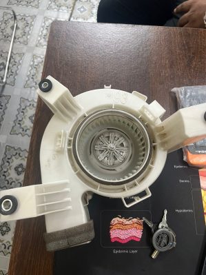 Blower Fan Motor