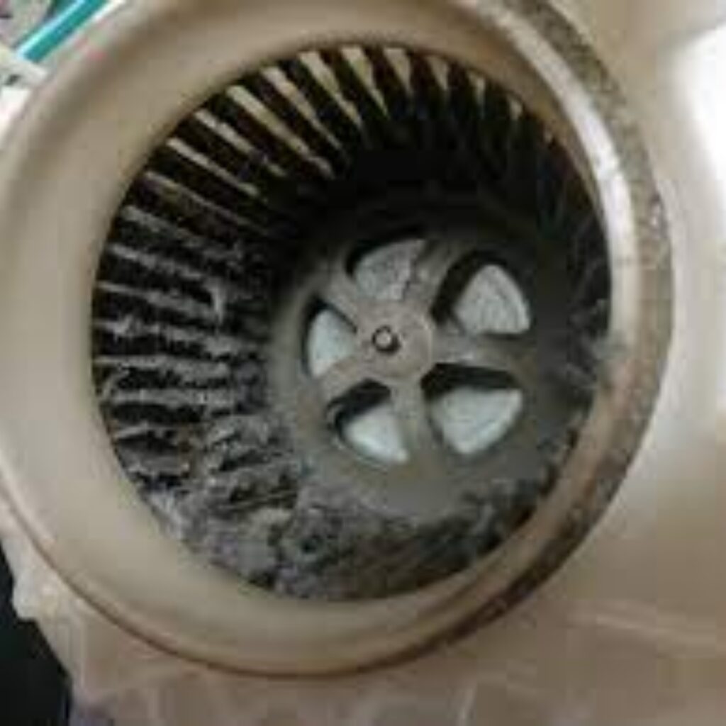 Oil & Coolant Checkup